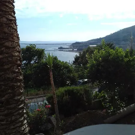 Apartment Domazet *
